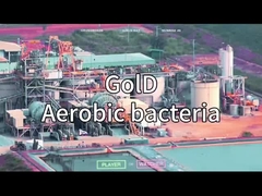 ভিএসএ ভিপিএসএ অক্সিজেন জেনারেটর